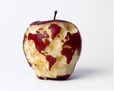 Apple cut to look like a globe